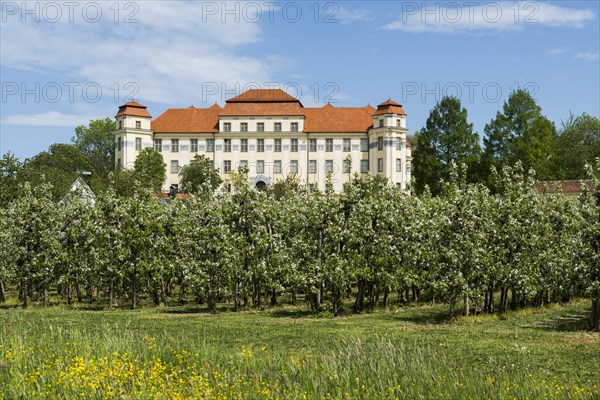 New castle and flowering fruit trees