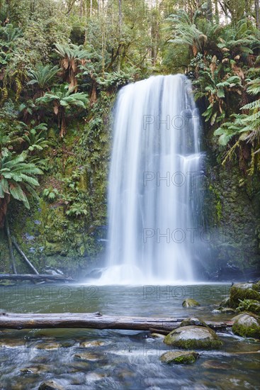 Beauchamp Falls in the rainforest