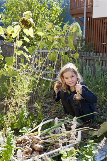 Little girl harvests onions in the garden