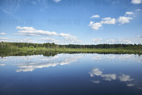 View over the Regenmoor marshland and Neckar origin Schwenninger Moos