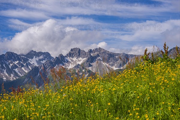 View from the Fellhorn