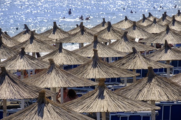 Reed umbrellas