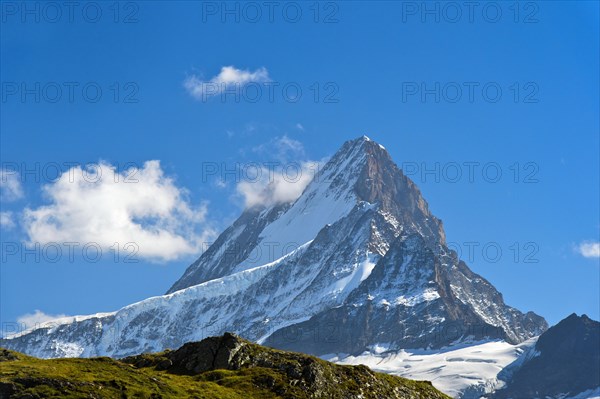 In the hiking area Grindelwald First