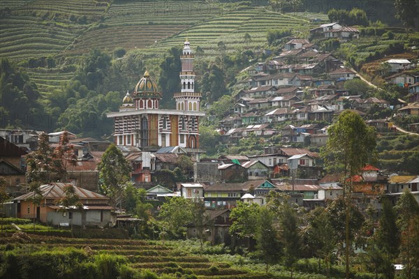 Terrace fields on the slope