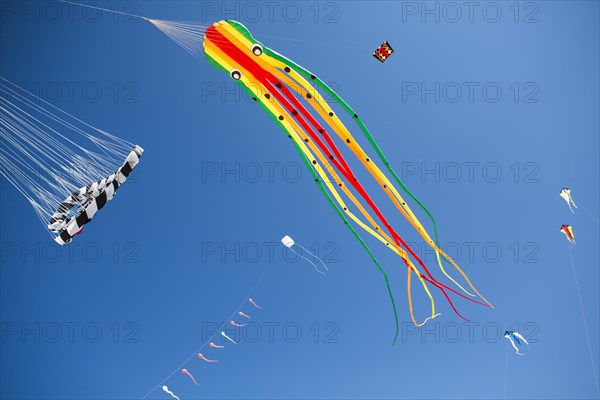 Various kites