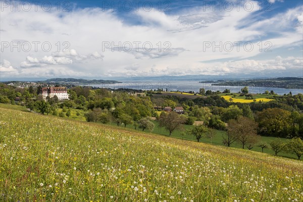 Spring Landscape