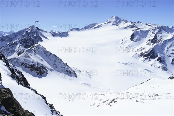 Wildspitze with Mittelbergferner in winter