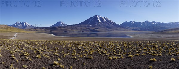 Laguna Miniques