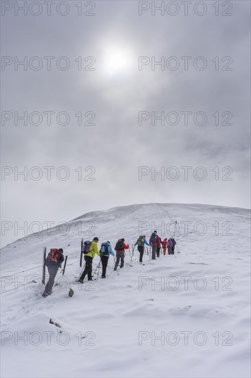 Hiking group ascending to the little Konigstuhl during fresh snowfall