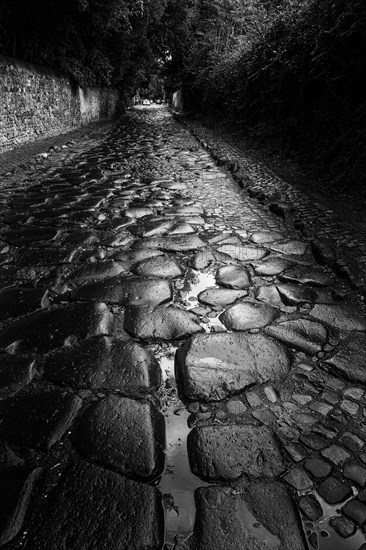 Wet paving stones