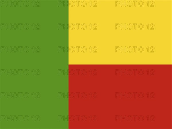 Official national flag of Benin