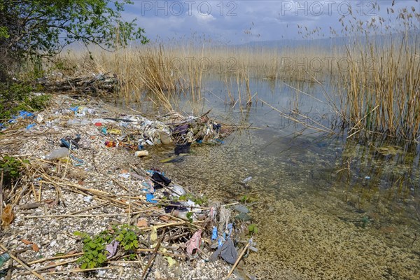 Waste washed up on the lake shore