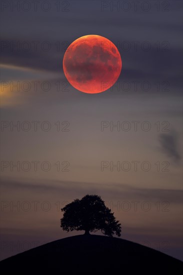 Bloodmoon