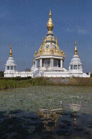 Pond with Lotus (Nelumbo) in front of Maha Rattana Chedi of Wat Thung Setthi