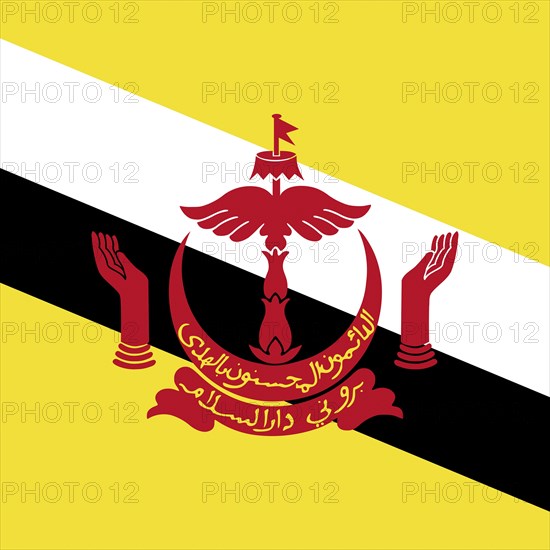 Official national flag of Brunei Darussalam