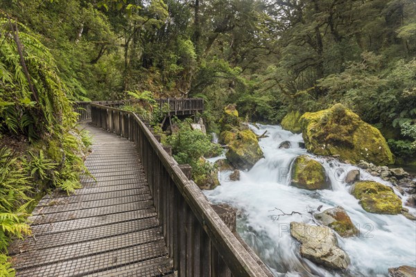 Wooden footbridge at Marian Falls