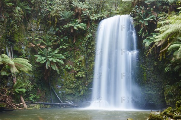 Beauchamp Falls in the rainforest