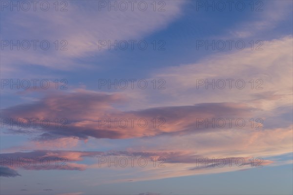 Pink clouds in the evening sky