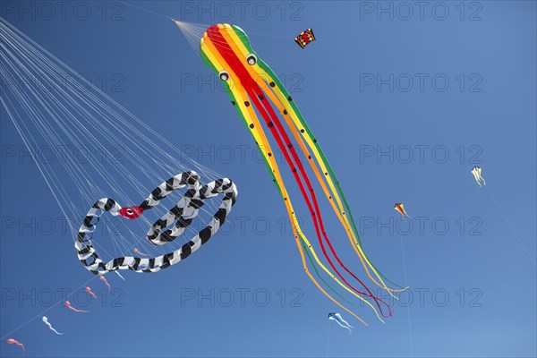 Kites in front of blue skies on the beach