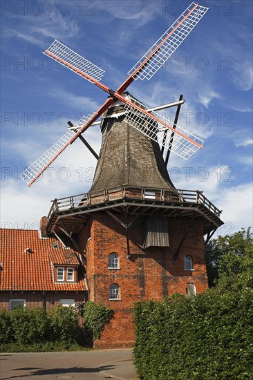 Windmill Aurora