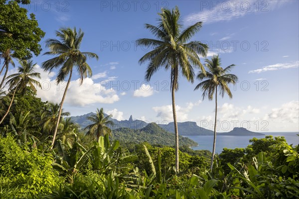 Wooded mountain landscape with palm trees and banana plants on the coast