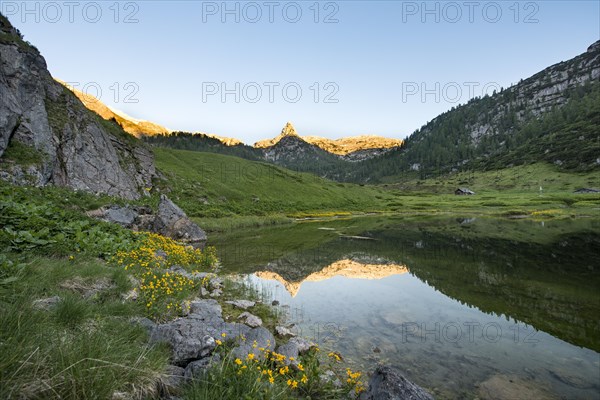 Schottmalhorn reflected in lake Funtensee at sunset