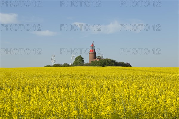 Lighthouse Buk with flowering rape field