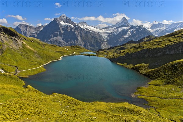 Alpine landscape with lake Bachalpsee and the summit Wetterhorn