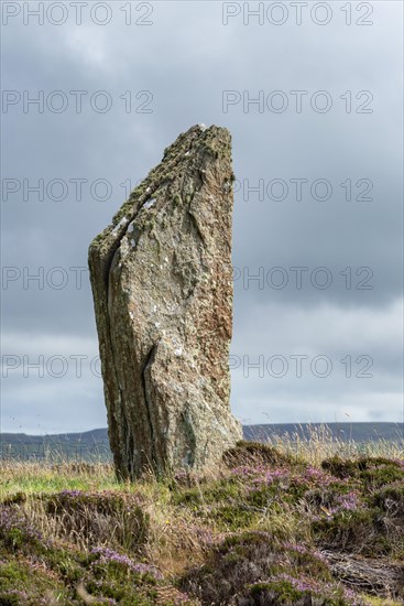 Ring of Brodgar