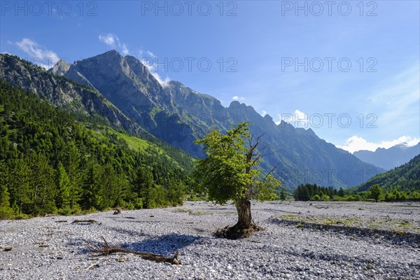 Mount Maja Lugut Ujit