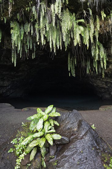 Maraa Grotto