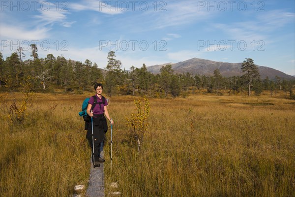 Female hiker on wooden planks