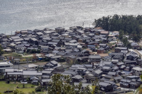 Waterfront Houses