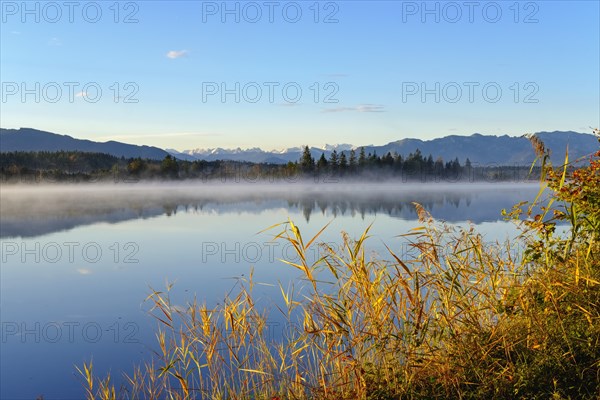 Morning mist at Kirchsee