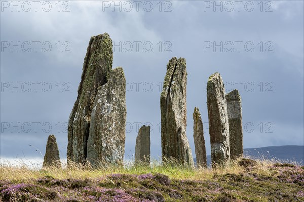 Ring of Brodgar