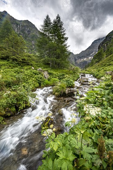 Steinriesenbach on the hiking trail to the Gollinghutte