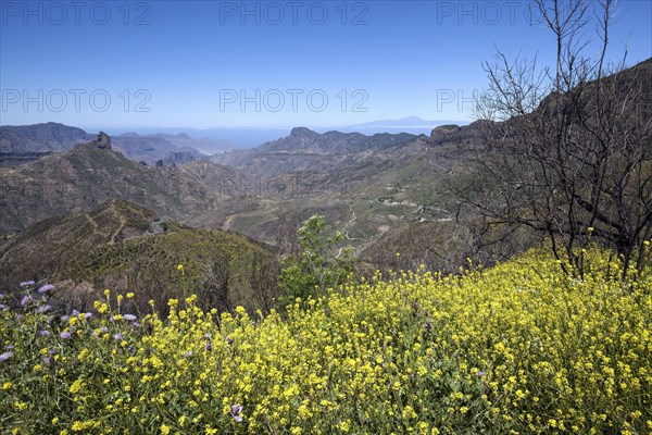 View from the Cruz de Tejeda into the Caldera de Tejeda