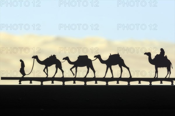 Camels as decoration on window