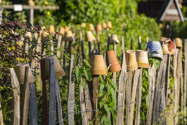 Paling fence decorated with flowerpots