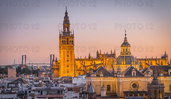 View of La Giralda and Iglesia del Salvador at sunset