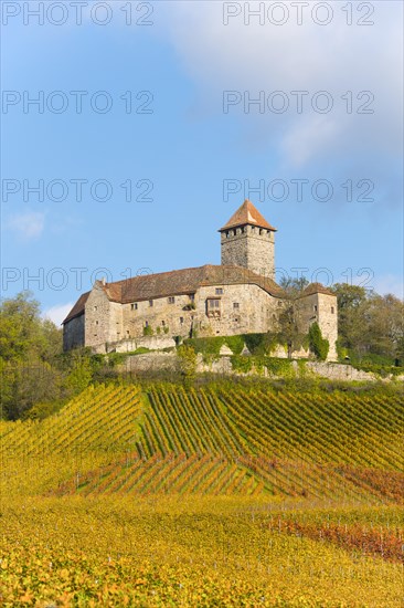 Castle Lichtenberg