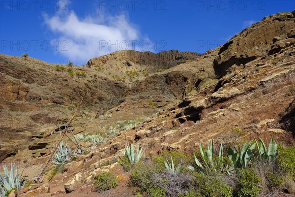 Barranco de la Barca