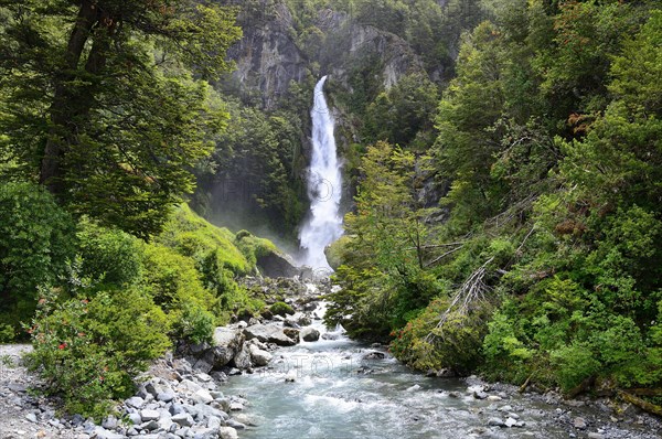 Waterfall between dense rainforest vegetation