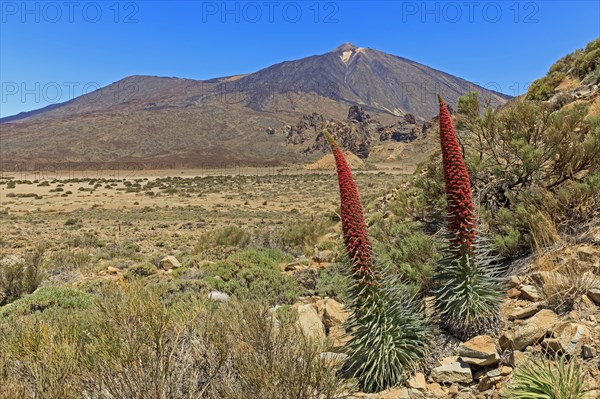 Volcano Pico del Teide