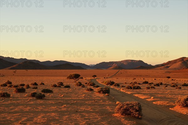 Sand track through the sandy desert