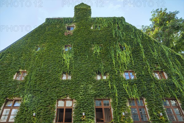 Pfistermuhle restaurant at Platzl-Karree with wine