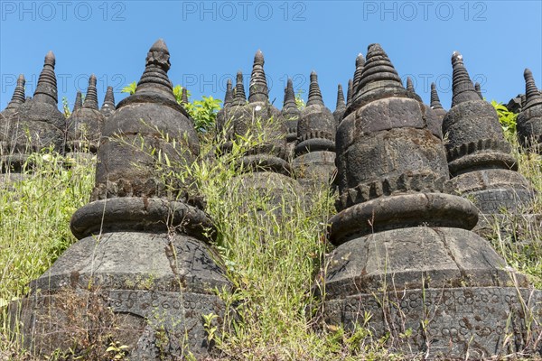 Koe Thaung