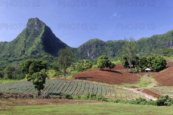 Agricultural land