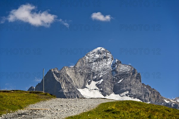 In the hiking area Grindelwald First