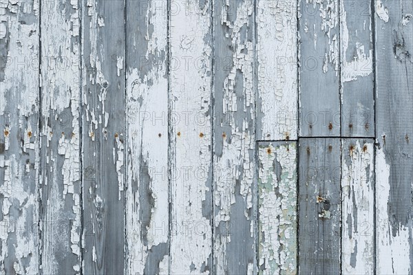 White peeling paint on wooden wall